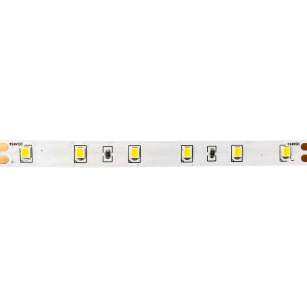 Aca Light Ταινία 2 LED 4,8W 570Lm 24V DC IP20 - 6500K Ψυχρό Λευκό